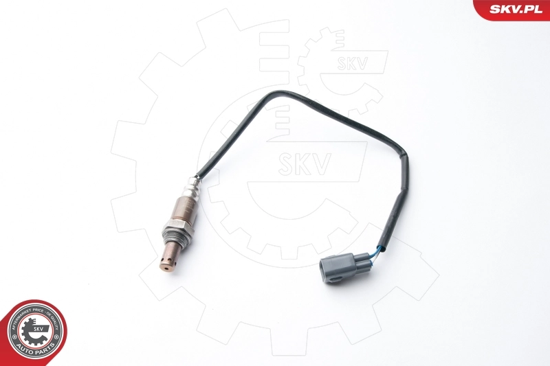 Oxygen Sensor